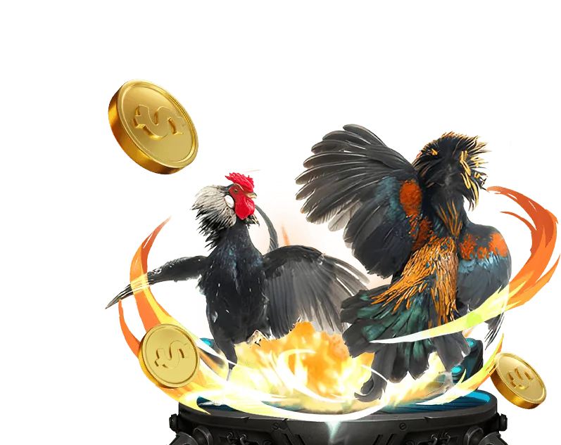 Biểu đồ tỷ lệ thắng cao của 13 Win nổ hũ