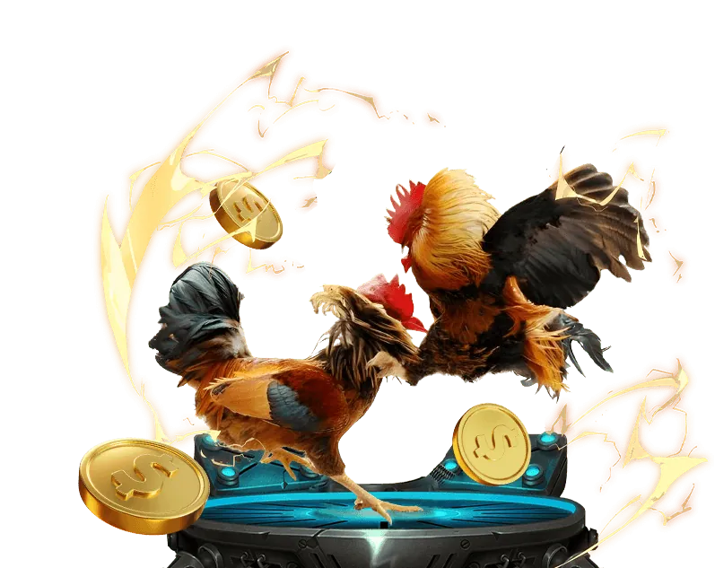 Cá cược thể thao đỉnh cao